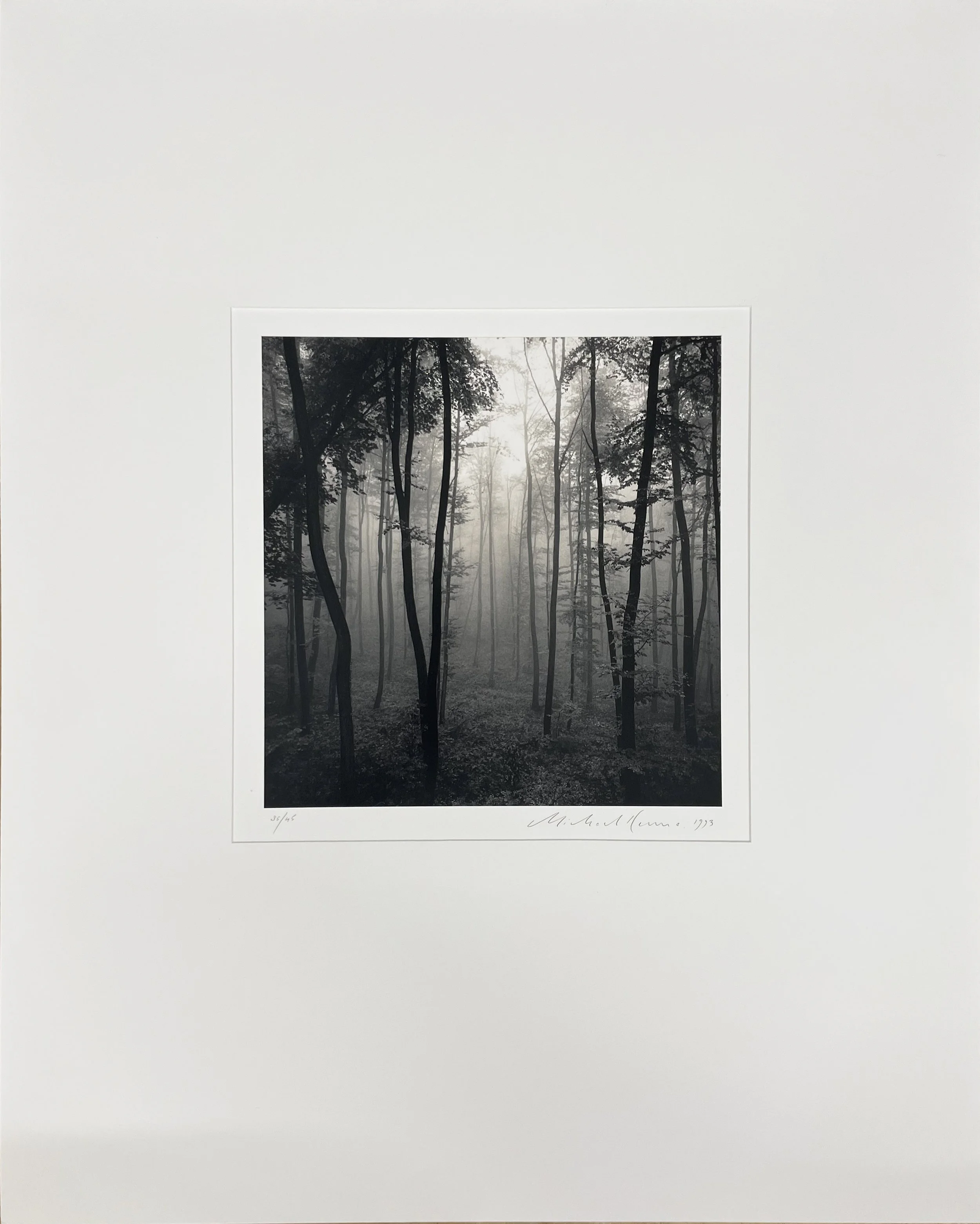 Michael Kenna: Jura Forest, Dornach, Switzerland, 1993 — PDNB